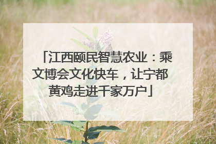 江西颐民智慧农业：乘文博会文化快车，让宁都黄鸡走进千家万户