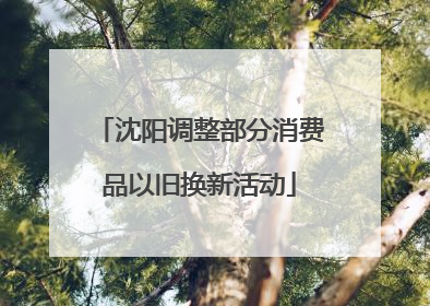 沈阳调整部分消费品以旧换新活动