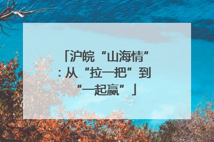 沪皖“山海情”：从“拉一把”到“一起赢”