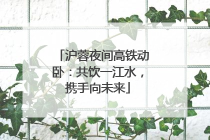 沪蓉夜间高铁动卧：共饮一江水，携手向未来