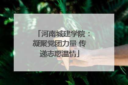 河南城建学院：凝聚党团力量 传递志愿温情