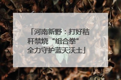 河南新野：打好秸秆禁烧“组合拳” 全力守护蓝天沃土