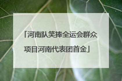 河南队笑捧全运会群众项目河南代表团首金