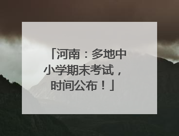 河南：多地中小学期末考试，时间公布！
