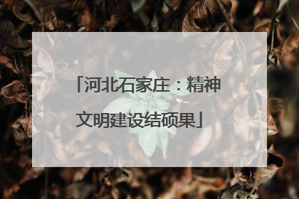 河北石家庄：精神文明建设结硕果