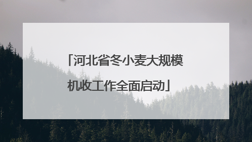 河北省冬小麦大规模机收工作全面启动
