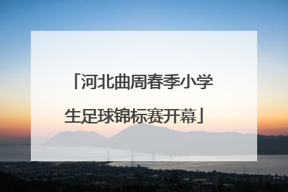 河北曲周春季小学生足球锦标赛开幕
