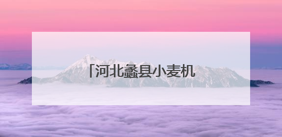 河北蠡县小麦机收率超95%