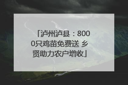 泸州泸县：8000只鸡苗免费送 乡贤助力农户增收