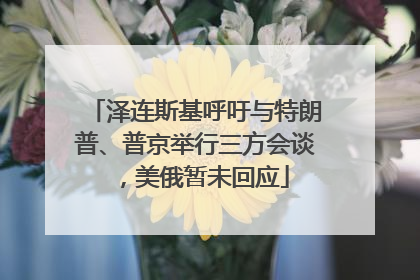 泽连斯基呼吁与特朗普、普京举行三方会谈，美俄暂未回应