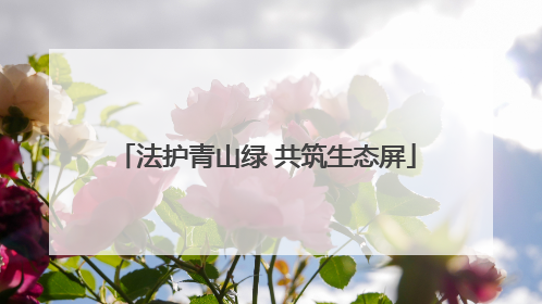 法护青山绿 共筑生态屏