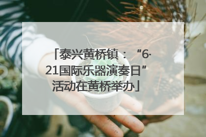泰兴黄桥镇：“6·21国际乐器演奏日”活动在黄桥举办