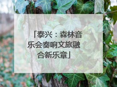 泰兴：森林音乐会奏响文旅融合新乐章