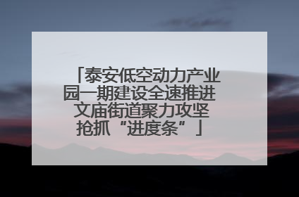 泰安低空动力产业园一期建设全速推进 文庙街道聚力攻坚抢抓“进度条”