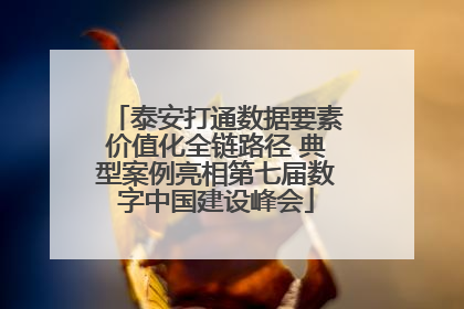 泰安打通数据要素价值化全链路径 典型案例亮相第七届数字中国建设峰会