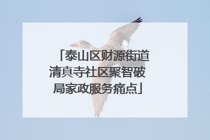 泰山区财源街道清真寺社区聚智破局家政服务痛点