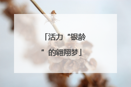 活力“银龄”的翱翔梦