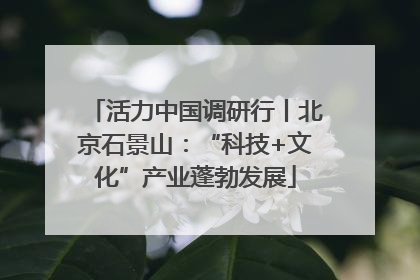 活力中国调研行丨北京石景山：“科技+文化”产业蓬勃发展