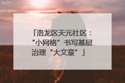 洛龙区天元社区：“小网格”书写基层治理“大文章”