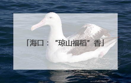 海口：“琼山福稻”香