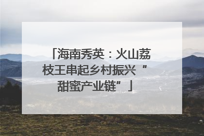 海南秀英：火山荔枝王串起乡村振兴“甜蜜产业链”