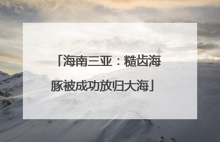 海南三亚：糙齿海豚被成功放归大海