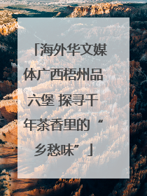 海外华文媒体广西梧州品六堡 探寻千年茶香里的“乡愁味”
