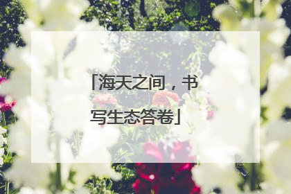 海天之间，书写生态答卷