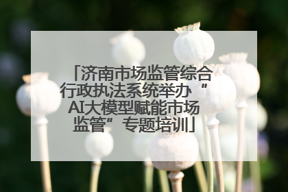 济南市场监管综合行政执法系统举办“AI大模型赋能市场监管”专题培训