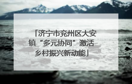 济宁市兖州区大安镇“多元协同”激活乡村振兴新动能