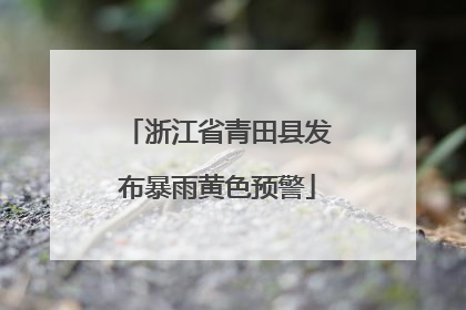浙江省青田县发布暴雨黄色预警