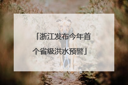 浙江发布今年首个省级洪水预警