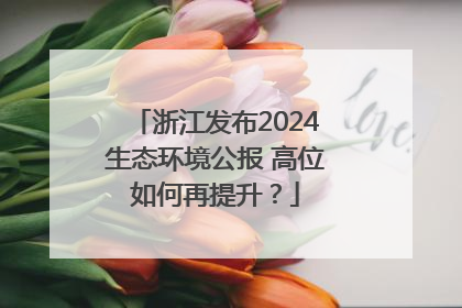 浙江发布2024生态环境公报 高位如何再提升？
