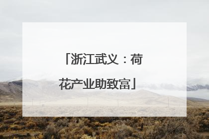 浙江武义：荷花产业助致富