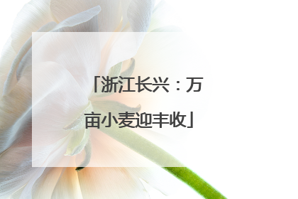 浙江长兴：万亩小麦迎丰收