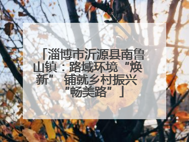 淄博市沂源县南鲁山镇：路域环境“焕新” 铺就乡村振兴“畅美路”