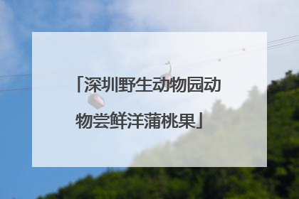 深圳野生动物园动物尝鲜洋蒲桃果