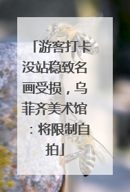 游客打卡没站稳致名画受损，乌菲齐美术馆：将限制自拍