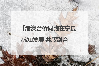 港澳台侨同胞在宁夏感知发展 共叙融合