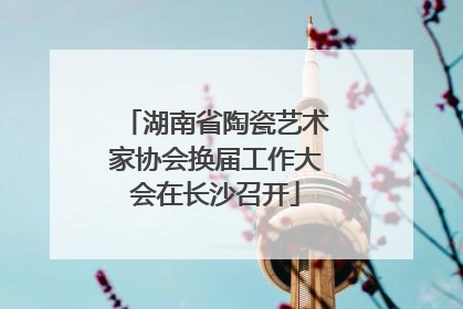 湖南省陶瓷艺术家协会换届工作大会在长沙召开