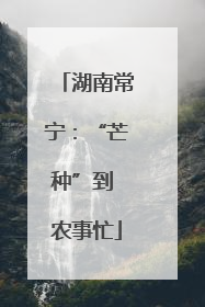 湖南常宁：“芒种”到 农事忙