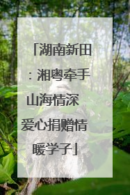 湖南新田：湘粤牵手山海情深 爱心捐赠情暖学子