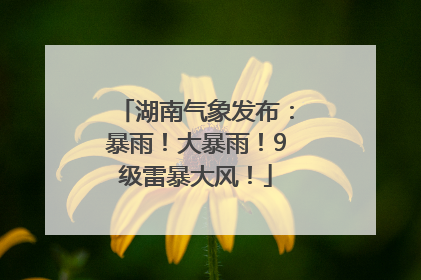 湖南气象发布：暴雨！大暴雨！9级雷暴大风！