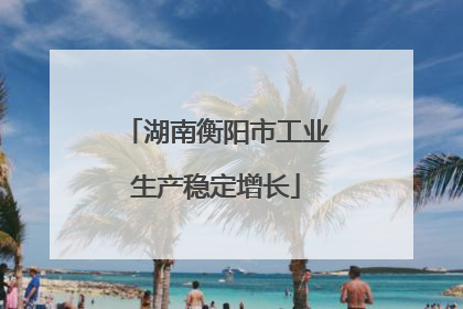湖南衡阳市工业生产稳定增长