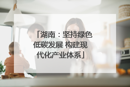 湖南：坚持绿色低碳发展 构建现代化产业体系