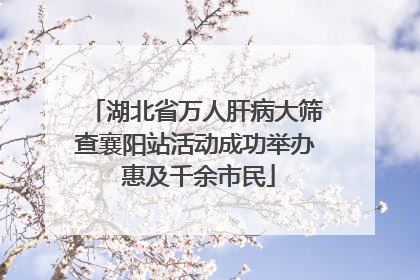 湖北省万人肝病大筛查襄阳站活动成功举办 惠及千余市民