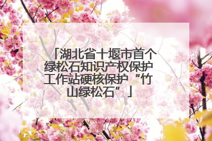 湖北省十堰市首个绿松石知识产权保护工作站硬核保护“竹山绿松石”