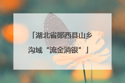 湖北省郧西县山乡沟域“流金淌银”