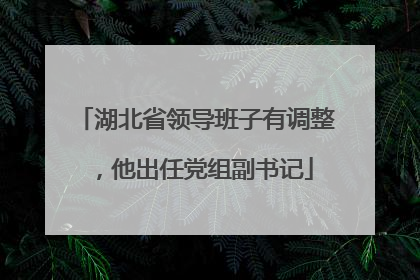 湖北省领导班子有调整，他出任党组副书记