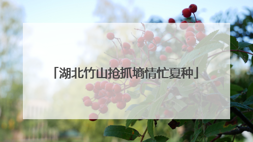 湖北竹山抢抓墒情忙夏种